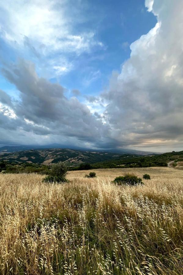 Casa Primavera A Rocca D'Orcia Castiglione dʼOrcia Extérieur photo